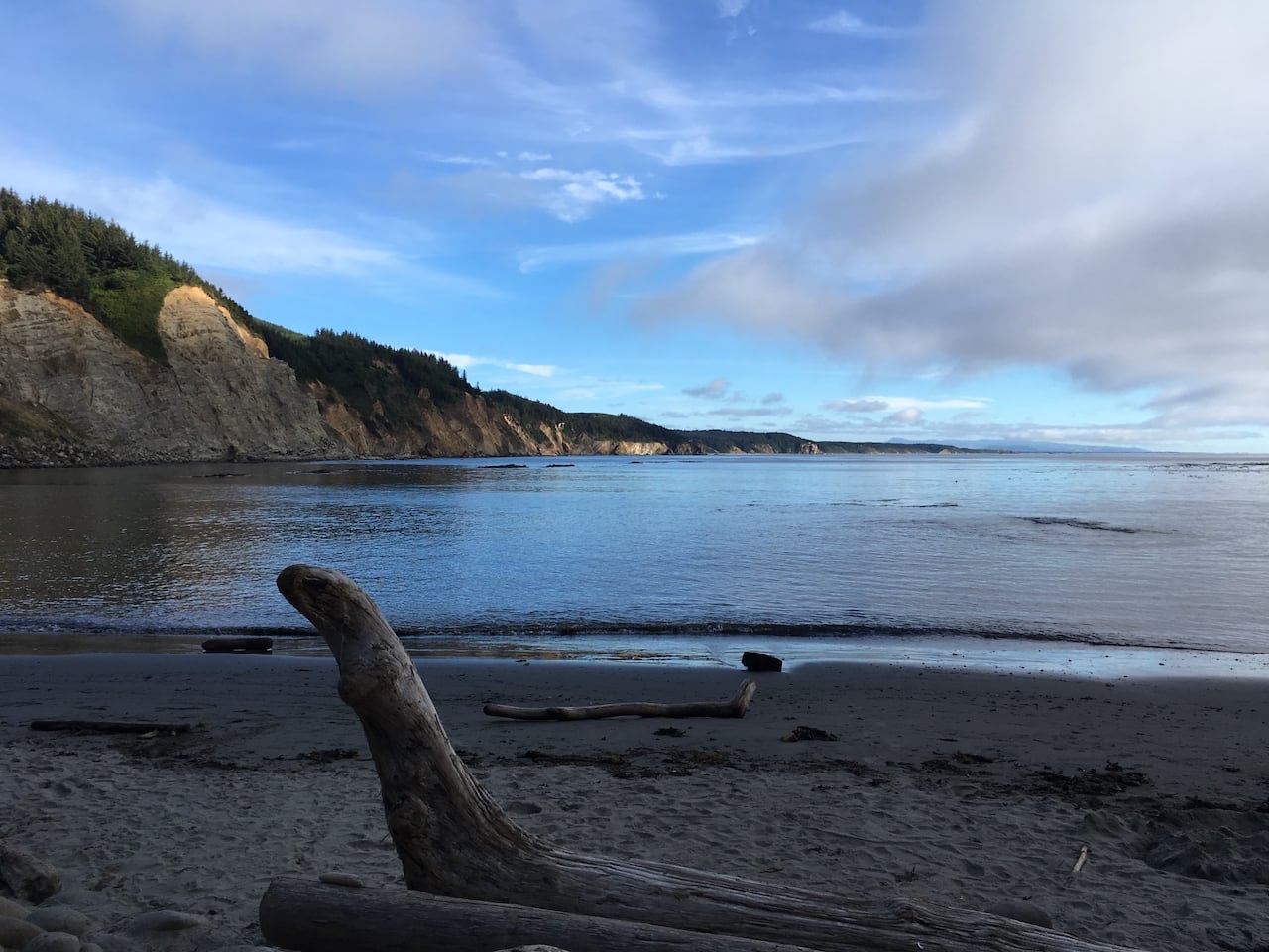 Una cala tranquila en la costa de Oregon. Hay un gran trozo de madera flotante en primer plano. El agua tranquila refleja un cielo azul con nubes de cola de yegua.